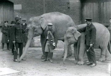 Birmese olifanten met verzorger, Jack Milbourne, Syed Ali (links) en San Dwe (midden), London Zoo, mei 1923
